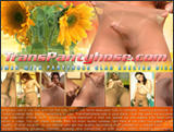 transpantyhose
